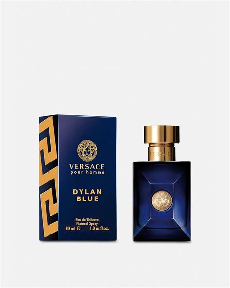 versace dylan blue summer or winter|More.